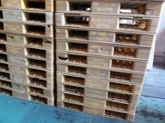 中古樹脂パレット