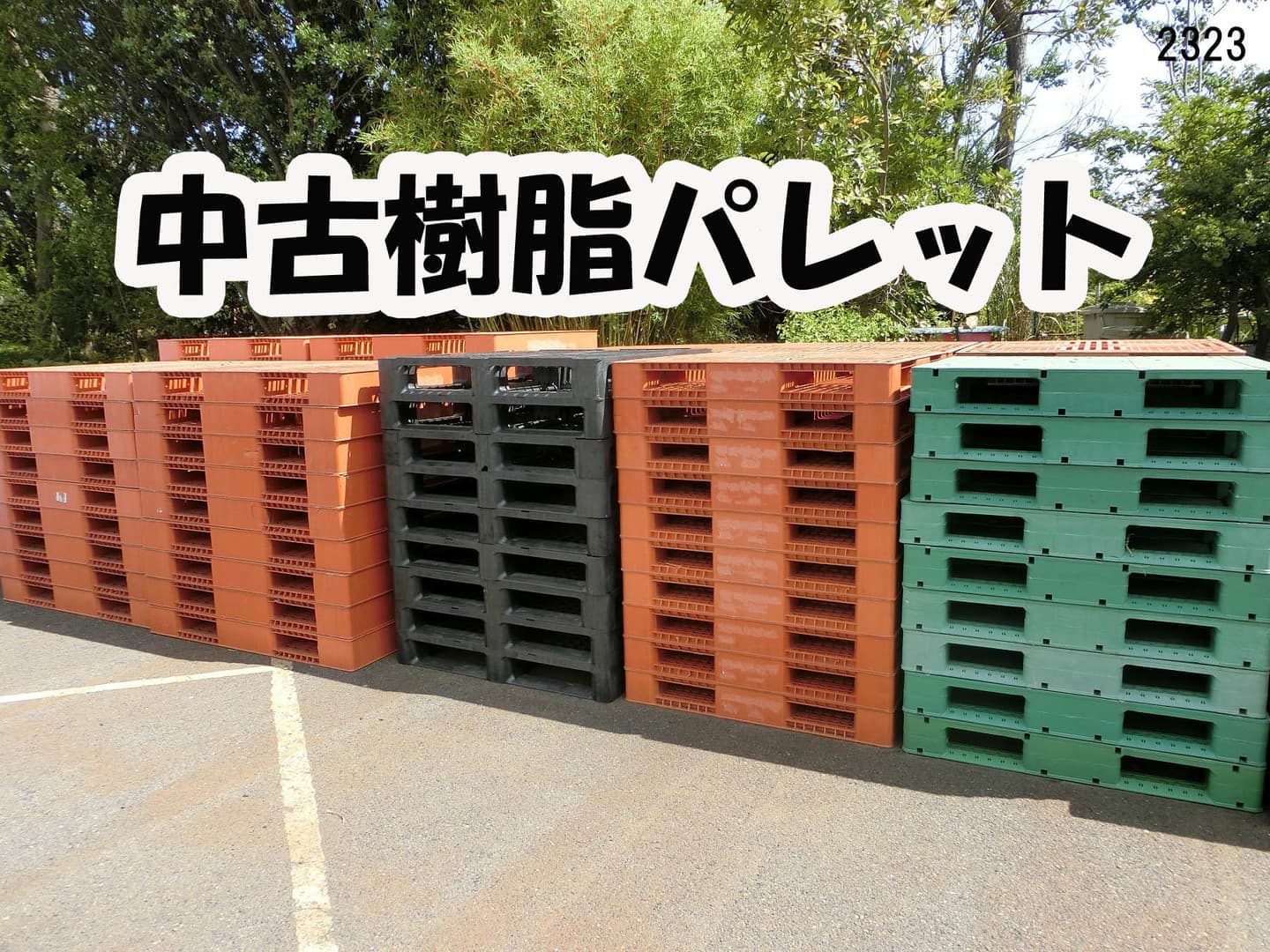 中古樹脂パレット